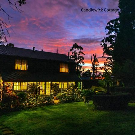 Observatory Cottages Mont Dandenong Extérieur photo