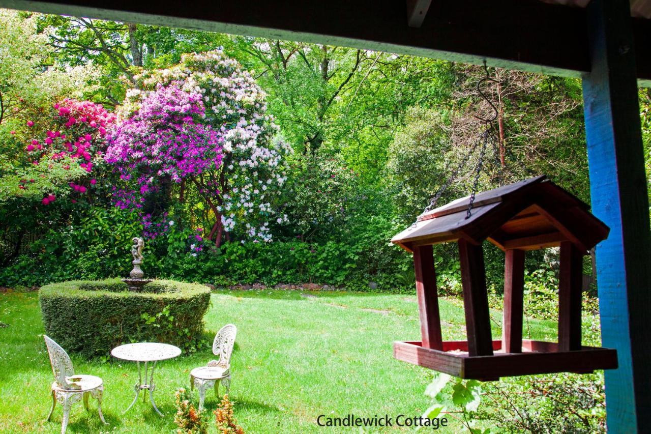 Observatory Cottages Mont Dandenong Extérieur photo