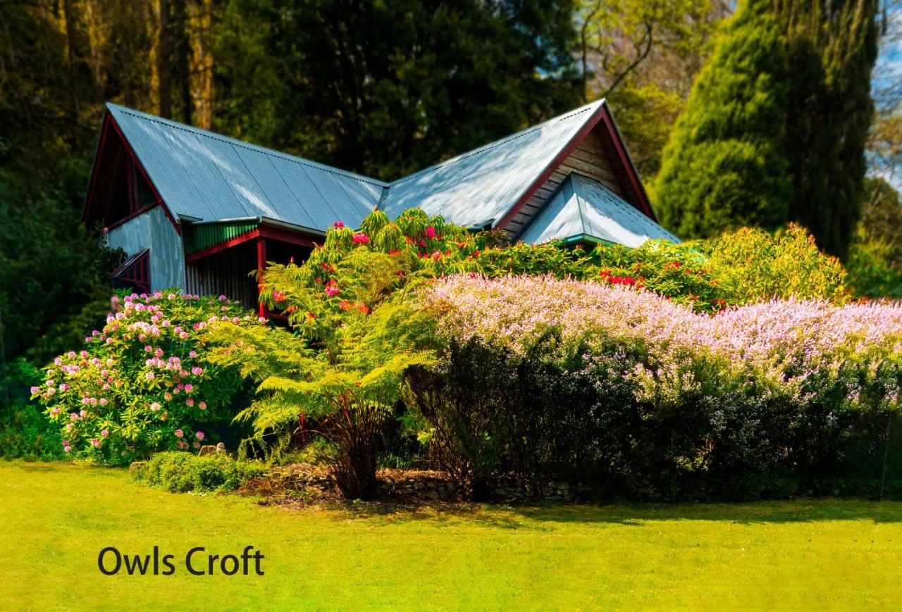 Observatory Cottages Mont Dandenong Extérieur photo